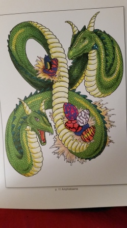 dragon Amphisbaena (colored picture)