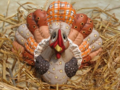 Dona 0283 stuffed (soft) turkey 2